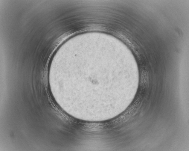 X0000115820836200912041626