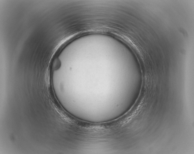 X0000115820838200912041626