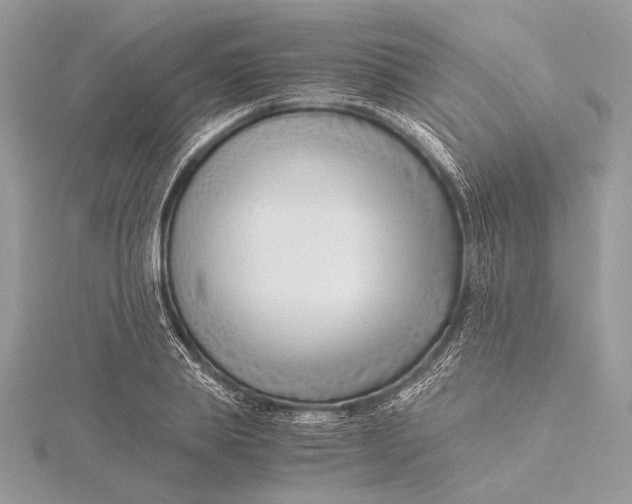 X0000115820839200912041626