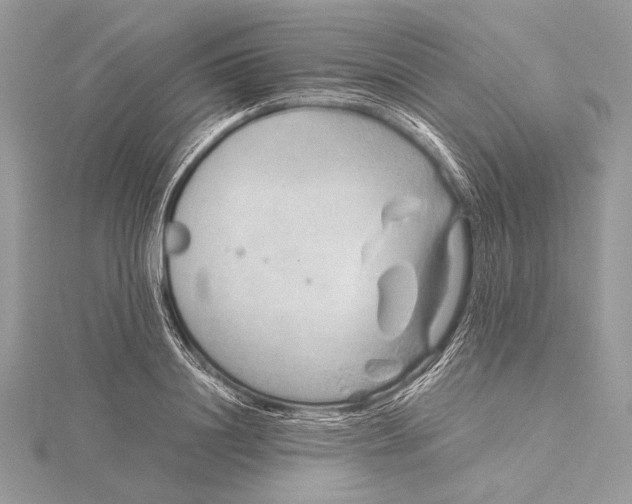 X0000115820844200912041626