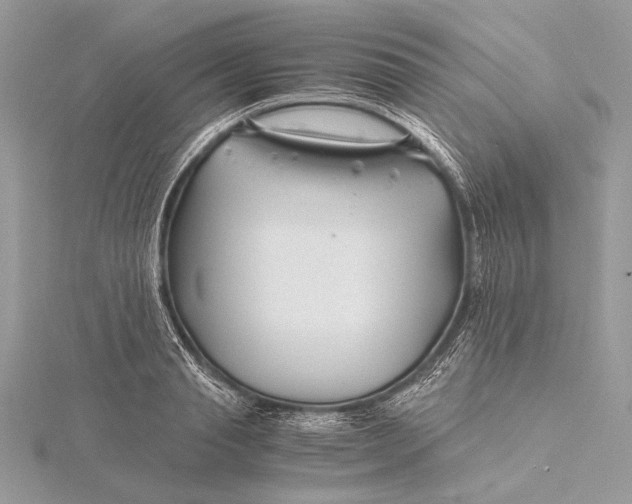 X0000115820845200912041626