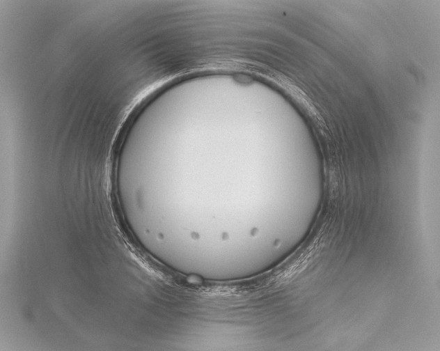 X0000115820846200912041626