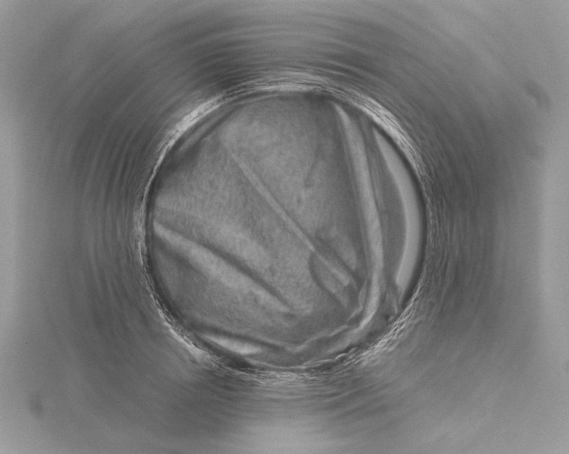 X0000115820850200912041626