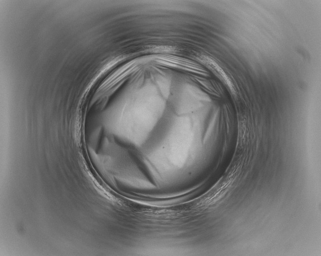 X0000115820851200912041626