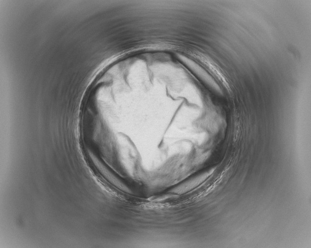 X0000115820853200912041626