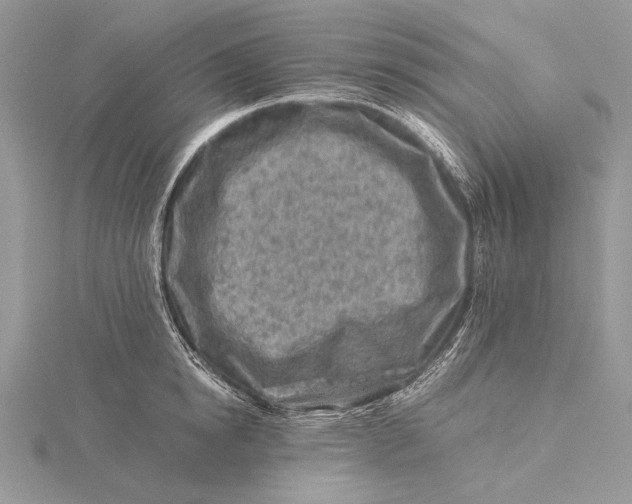 X0000115820854200912041626