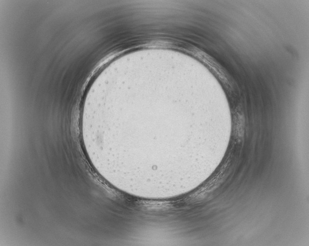 X0000115820856200912041626