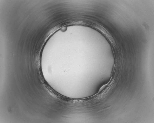 X0000115820858200912041626