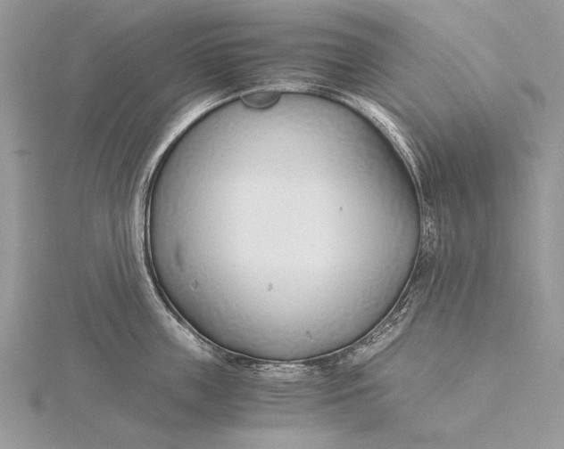 X0000115820859200912041626