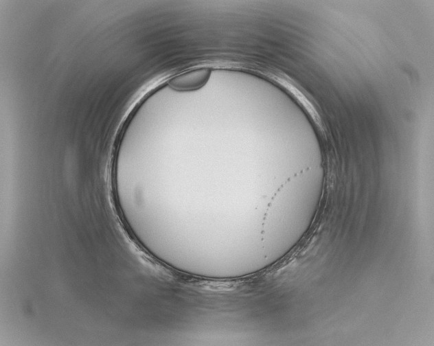 X0000115820861200912041626