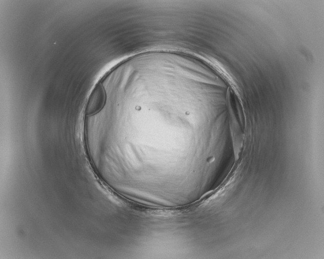 X0000115820862200912041626