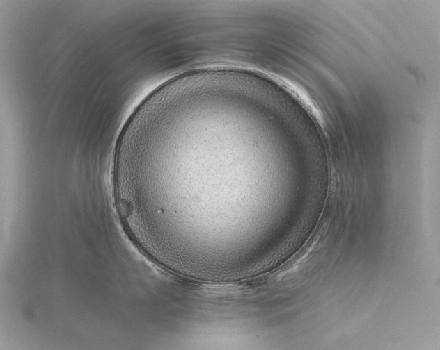 X0000115820863200912041626