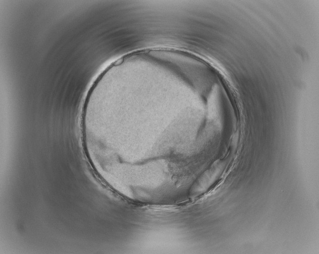 X0000115820864200912041626