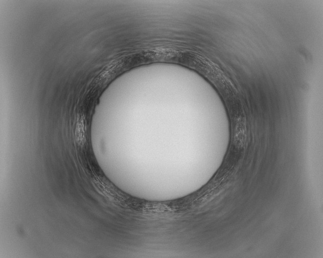 X0000115820866200912041625