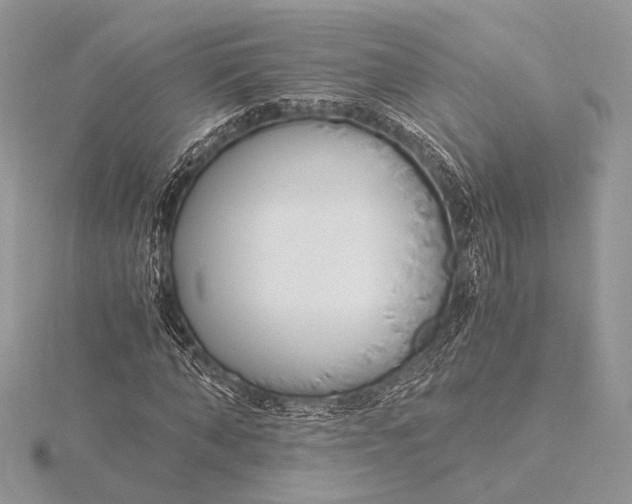 X0000115820870200912041625