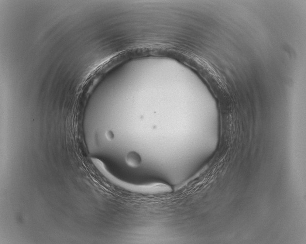 X0000115820872200912041625