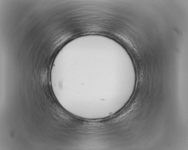 X0000115820873200912041625