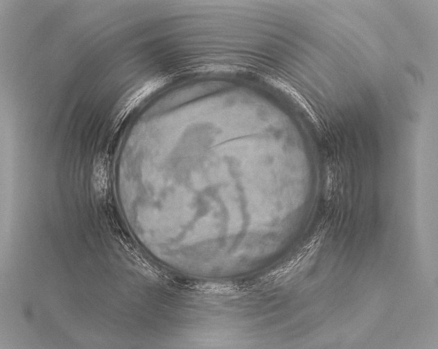 X0000115820874200912041625