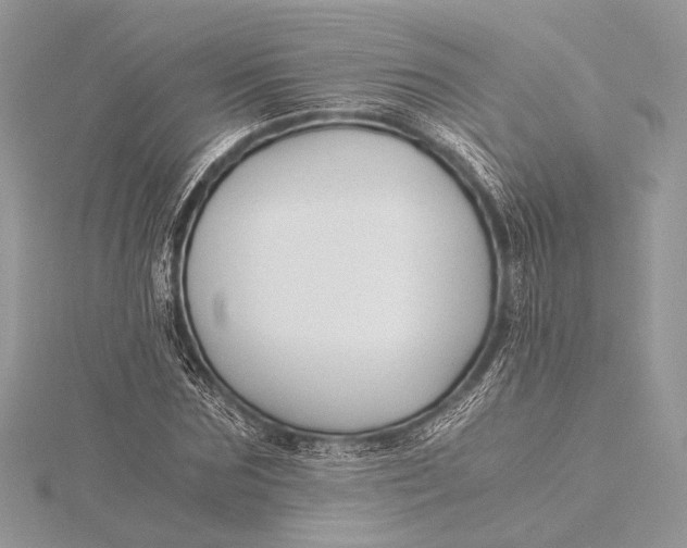 X0000115820875200912041625