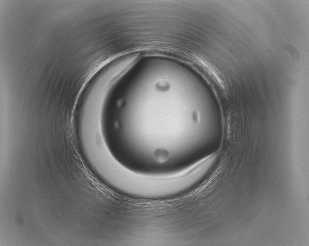 X0000115820876200912041625