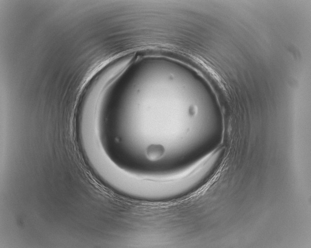 X0000115820877200912041625