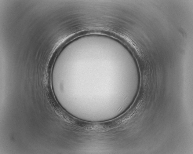 X0000115820879200912041625