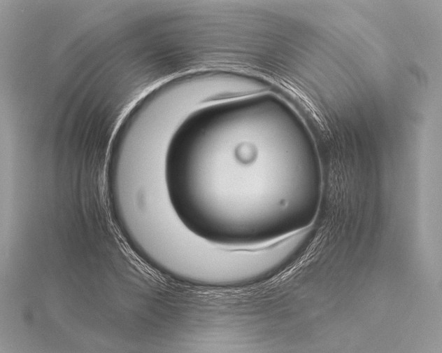 X0000115820880200912041625