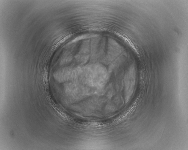 X0000115820881200912041625