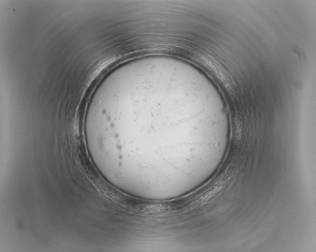 X0000115820883200912041625