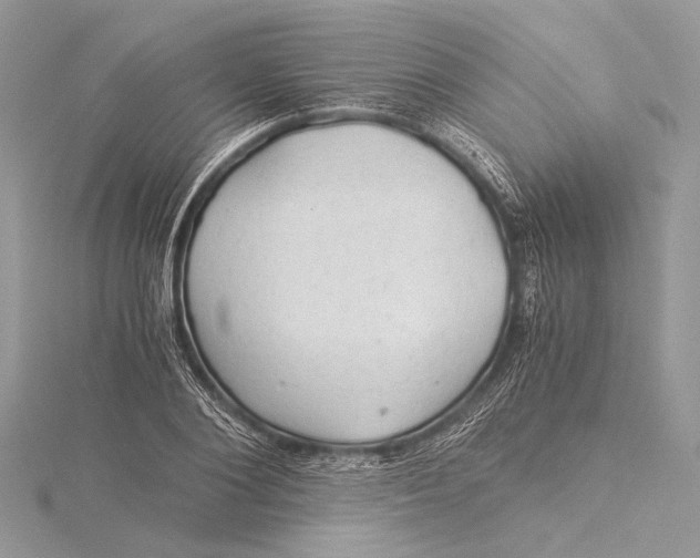 X0000115820884200912041625