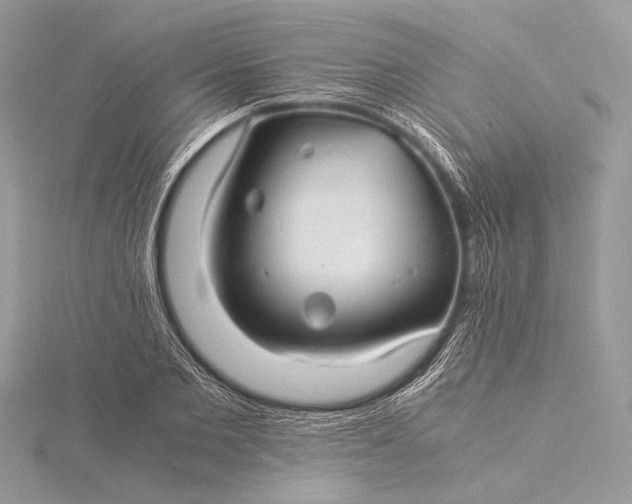 X0000115820885200912041625