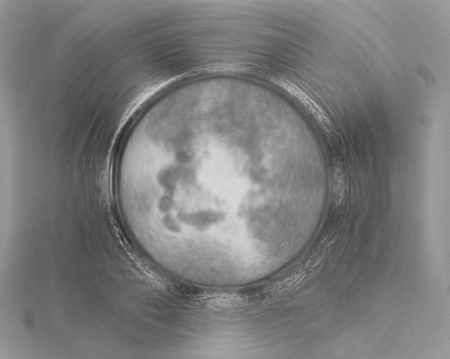 X0000115820886200912041625