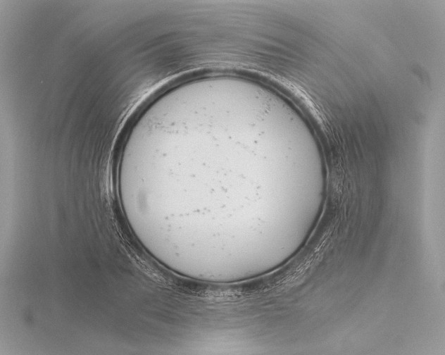 X0000115820887200912041625