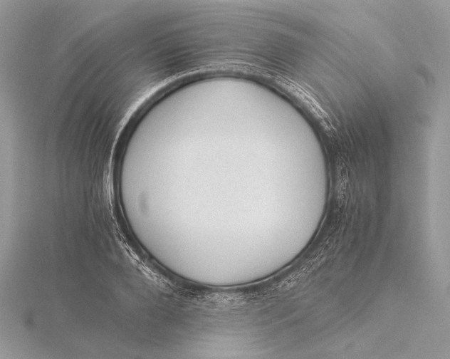 X0000115820888200912041625