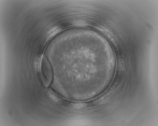 X0000115820889200912041625