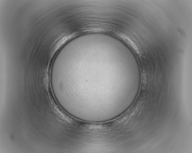 X0000115820890200912041625