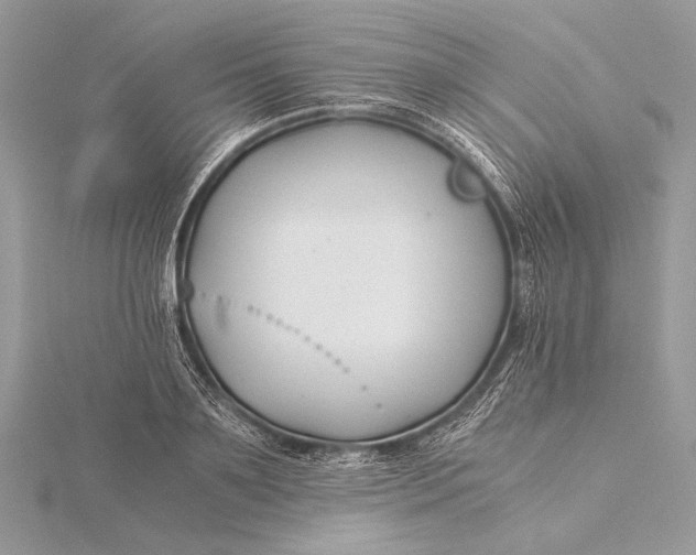 X0000115820891200912041625