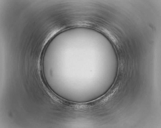 X0000115820893200912041625