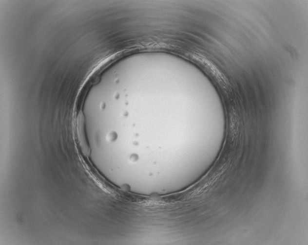 X0000115820894200912041625