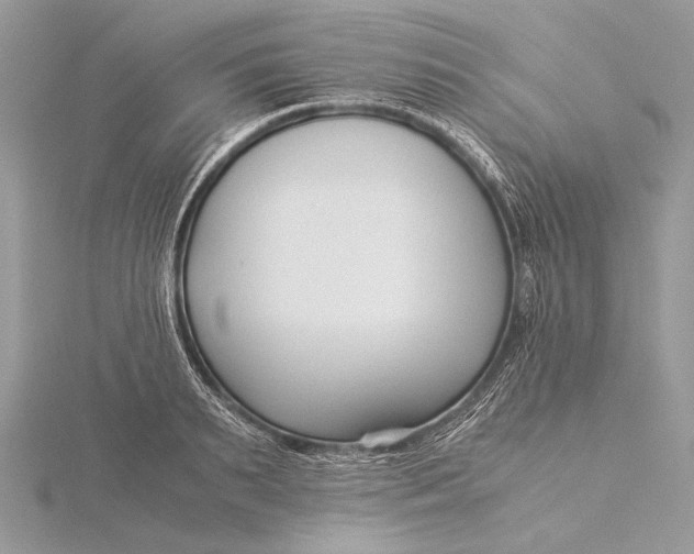 X0000115820895200912041625