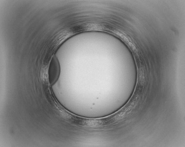 X0000115820897200912041625