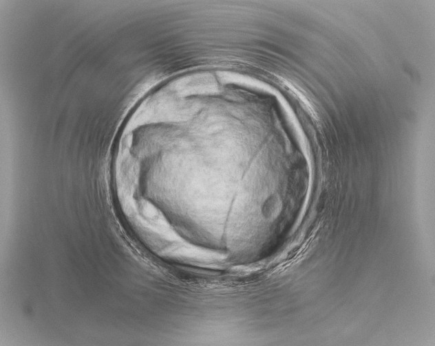 X0000115820899200912041625