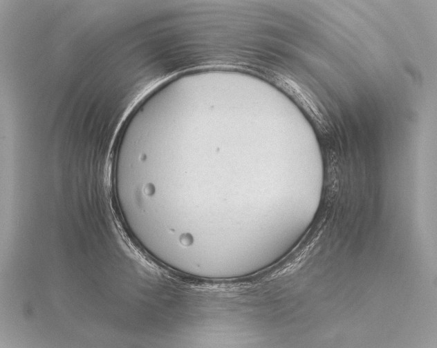 X0000115820900200912041625