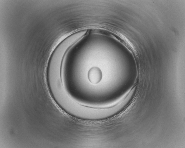 X0000115820901200912041625