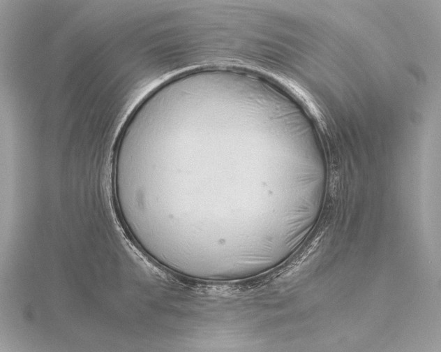 X0000115820903200912041625