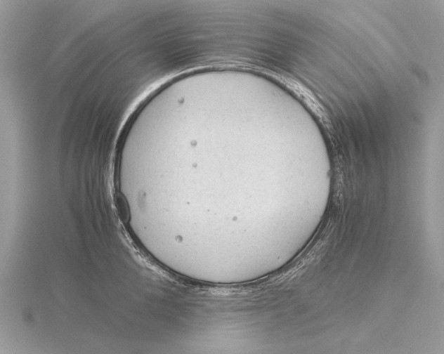 X0000115820904200912041625