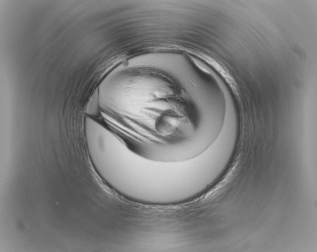 X0000115820905200912041625