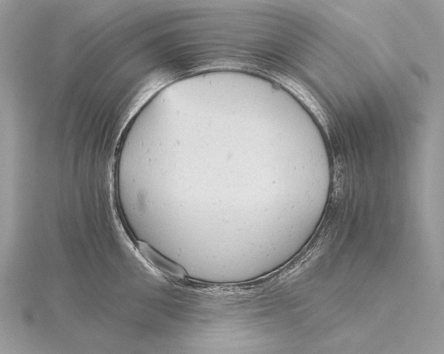 X0000115820906200912041625