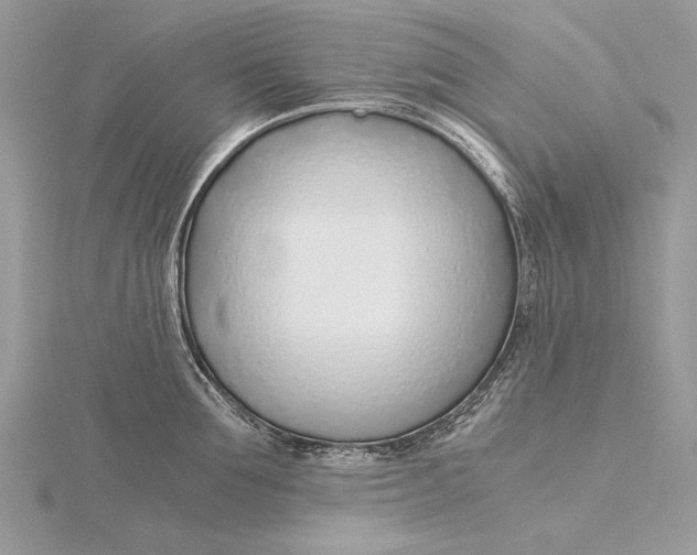 X0000115820907200912041625