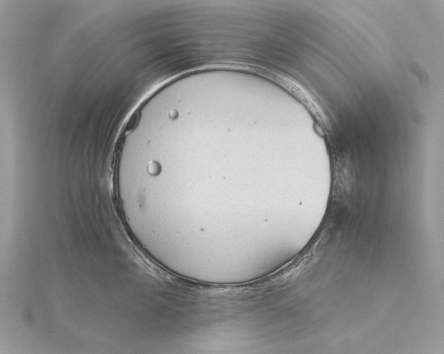 X0000115820908200912041625